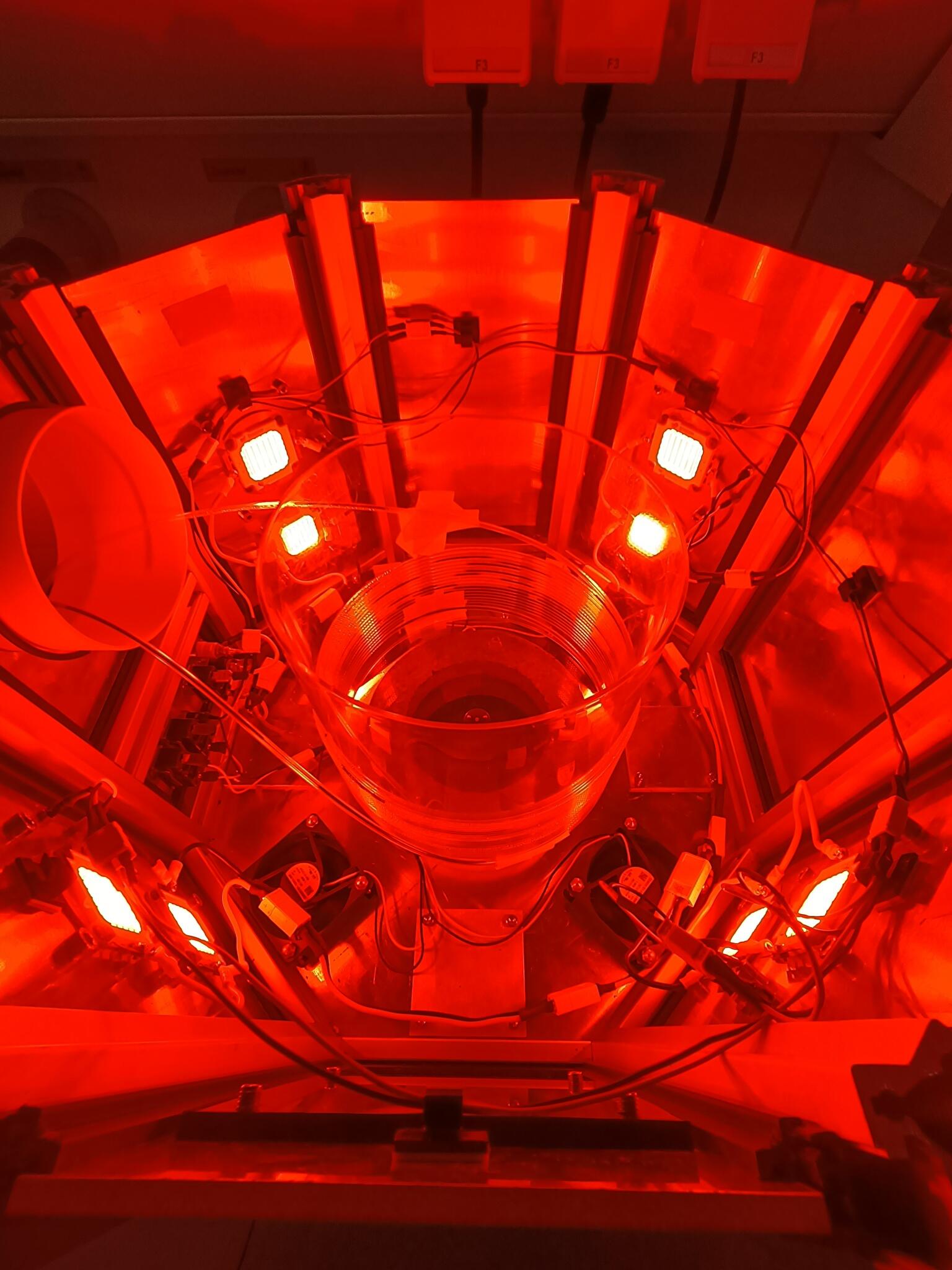 Ben Feringa Ben Feringa Research Group